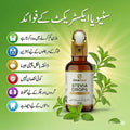 ZararCare Stevia Drops | All-Natural Sweetener | 30ml / 600 Drops | Zero Calories | Diabetes Friendly